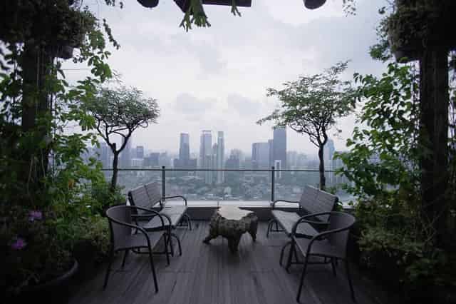 Terrarium Rooftop