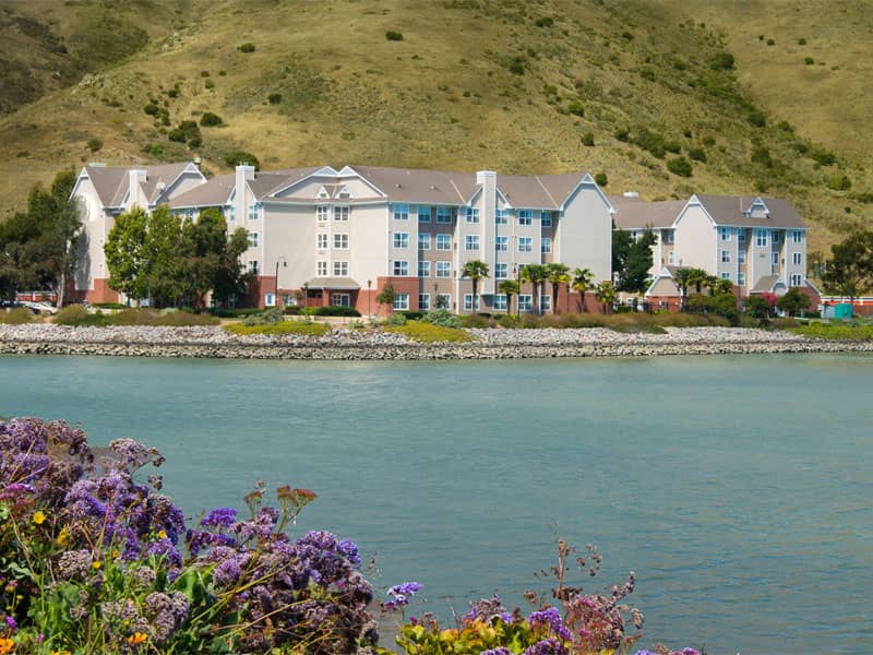 BBQ picnic area at AC Hotel San Francisco, scenic waterfront venue for events.