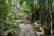 Sustainable Conferences