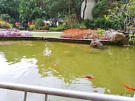Networking Venues