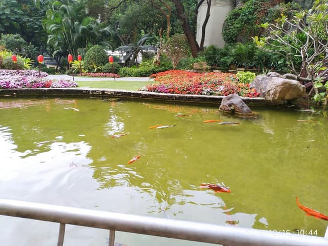Garden Hotel
