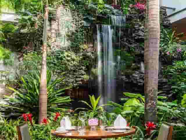 Back Garden