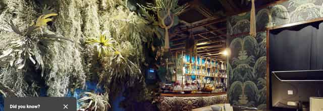 Coya City