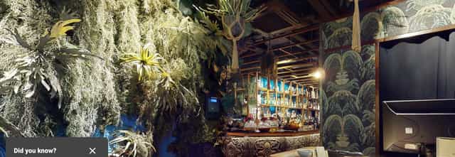Inti Room in Coya City: lush venue with vibrant greenery for events and gatherings