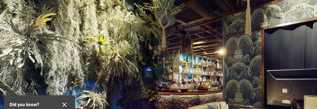 Coya City