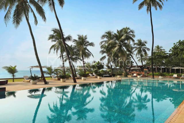 Poolside Lawn