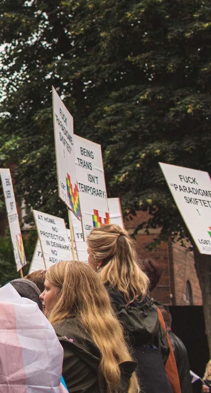 Diverse crowd at Copenhagen Pride rally, showcasing signs for social rights awareness.
