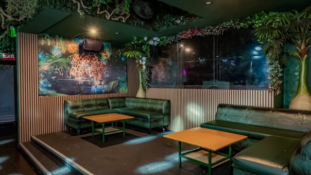 Jungle Hollywood