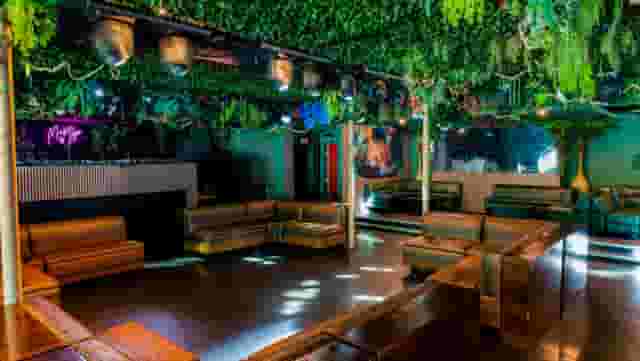 Nightclub and Bar