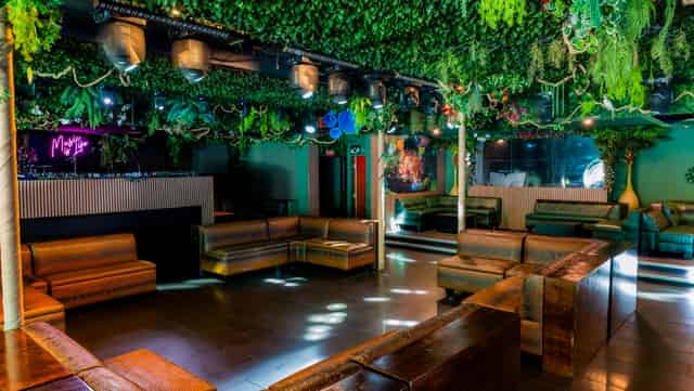 Nightclub and Bar