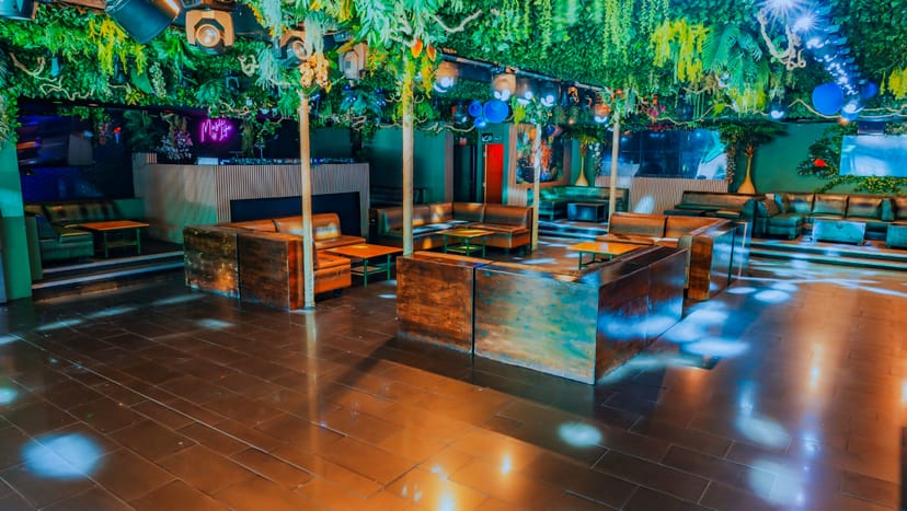 Vibrant Jungle Hollywood nightclub with lush greenery, ideal for themed parties and events.