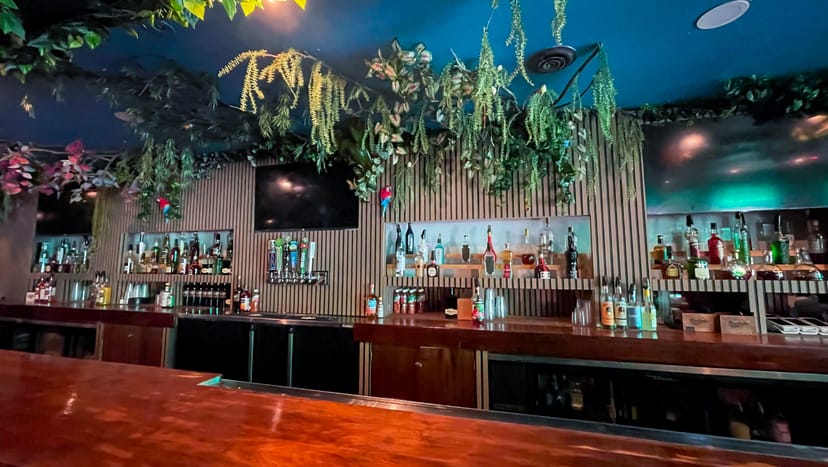 Vibrant Jungle Hollywood nightclub bar with lush greenery for events and gatherings