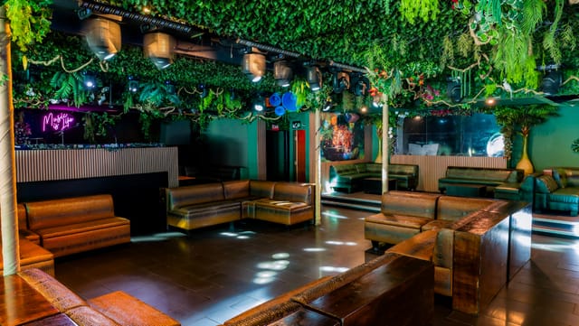 Nightclub in Jungle Hollywood with lush greenery, ideal for themed parties and corporate events.