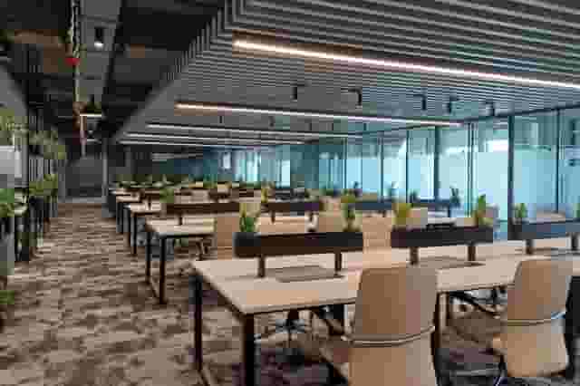 Breakout Area