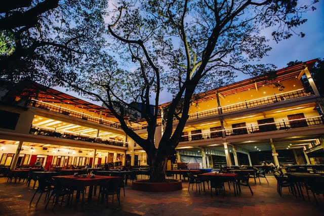 Sky Lounge at Catholic Club: elegant outdoor event space with a central tree for gatherings.