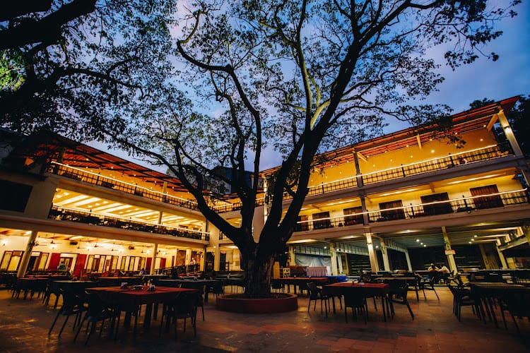 Raintree Verandah venue with large tree, ideal for evening receptions and outdoor events.