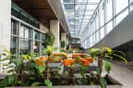 Conference Venues