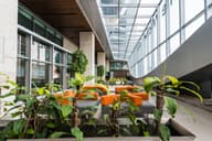 Formal Event Venues