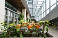 Meeting Rooms