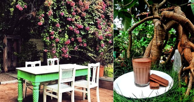 Garden Cafe Restaurant