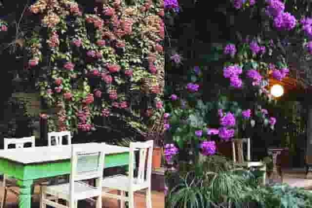 Garden Cafe Restaurant