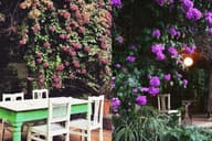 Party Venues