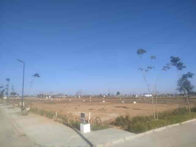 Vacant Pavilion Lawn at Windflower Resorts for outdoor events and gatherings