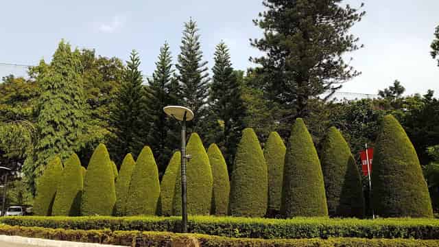 The LaLiT Ashok Bangalore