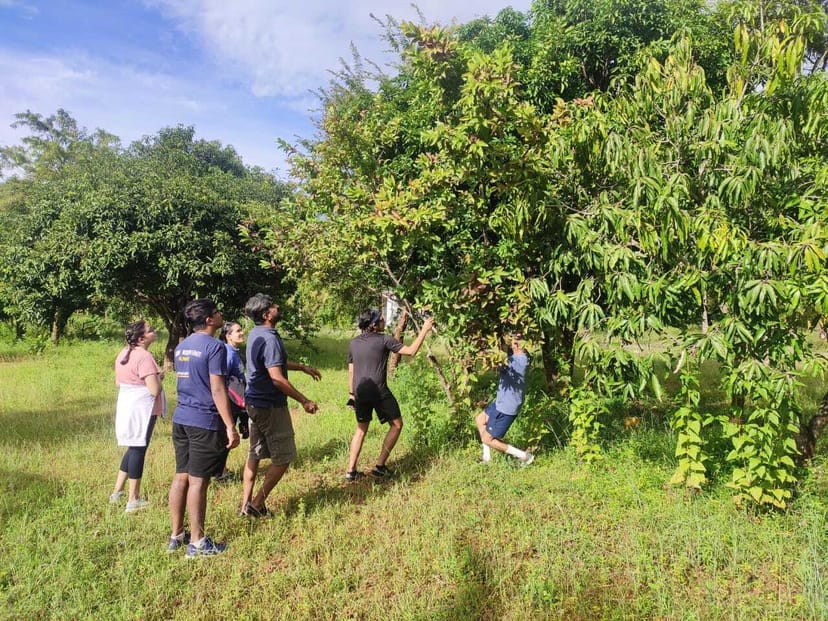 Outdoor team-building event at VAMA Retreats' lush banquet lawns.