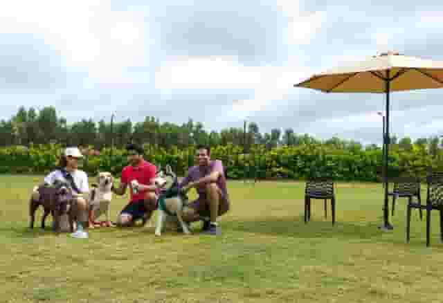 Banquet lawns