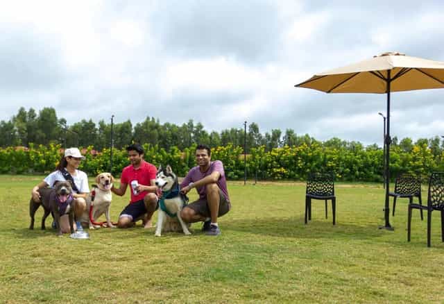 VAMA Retreats - Pet Friendly Family Resort