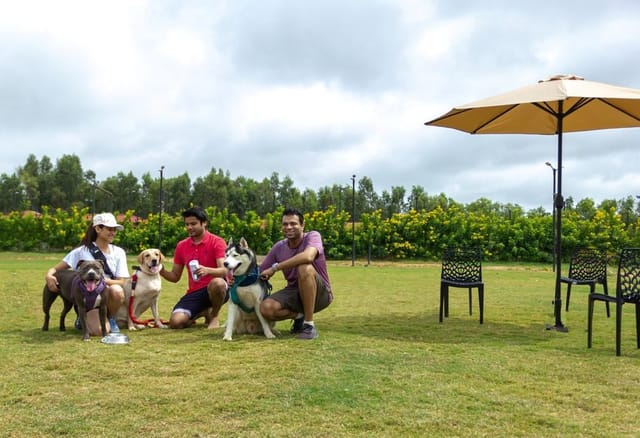 Outdoor pet-friendly gathering at VAMA Retreats banquet lawns with comfortable seating.