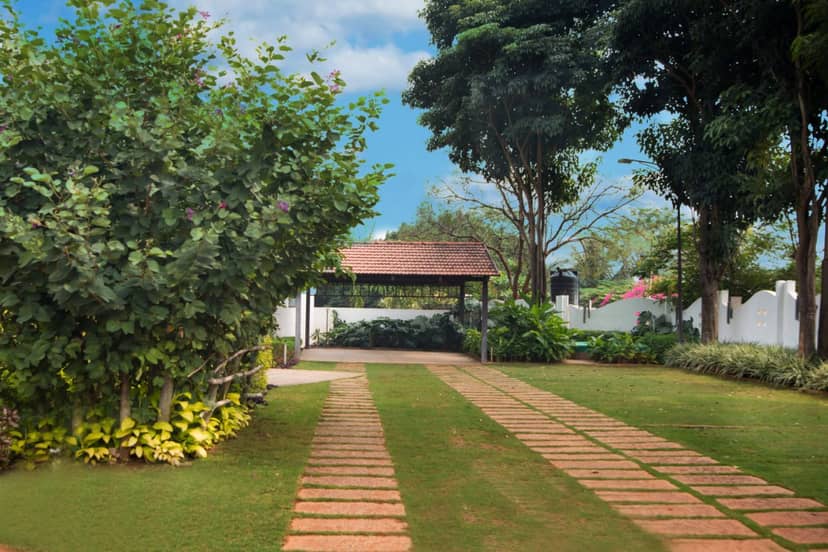 Lawn area in tranquil woods, perfect for outdoor meetings and events.