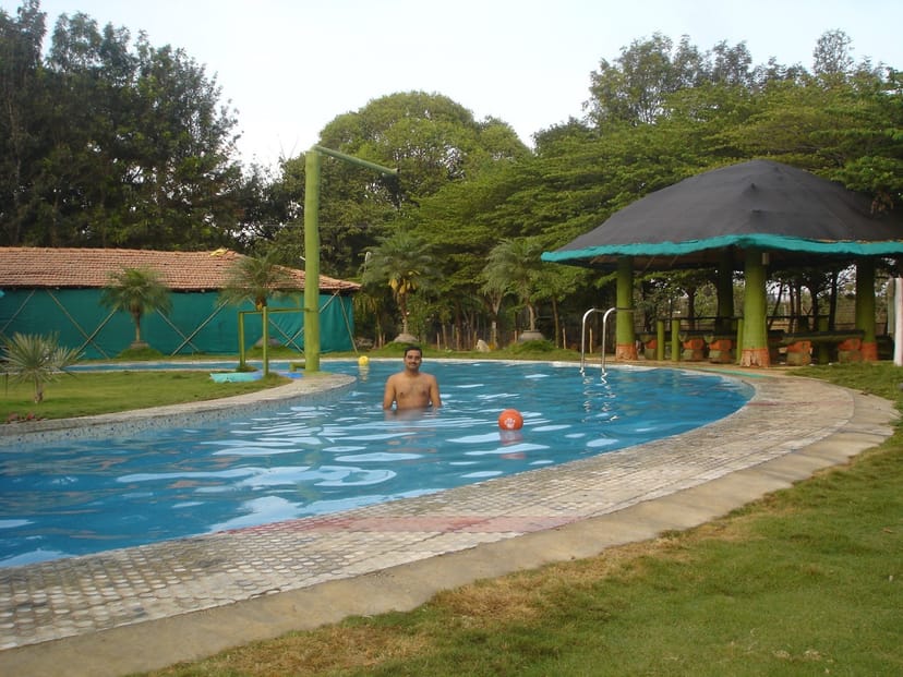 Day Outing to Mango Mist Resort