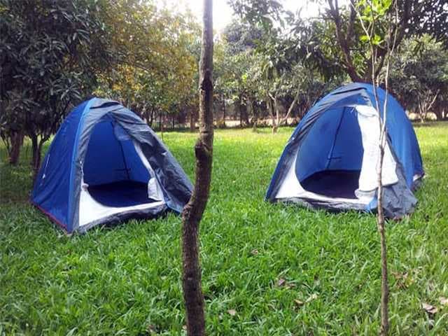 tents