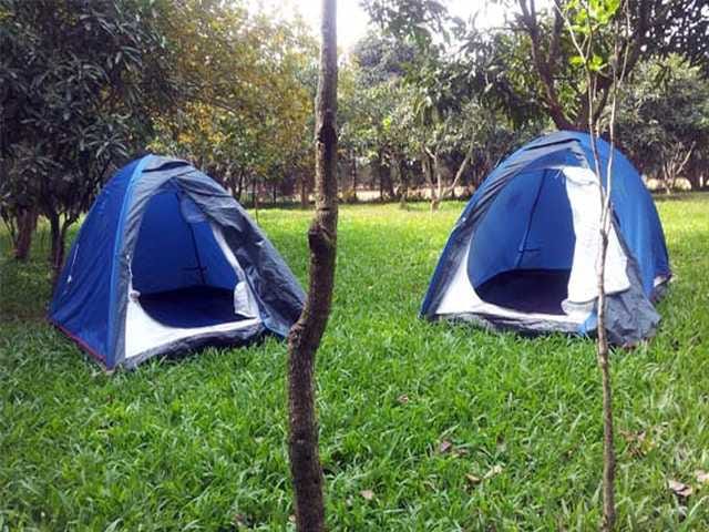 Tents on lush lawn at Mango Mist Resorts for outdoor team-building retreat.