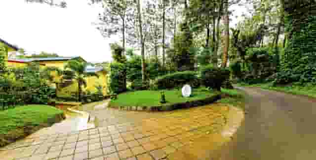 Large lawn