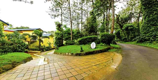 Large lawn