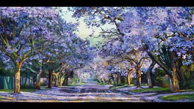 Jacaranda