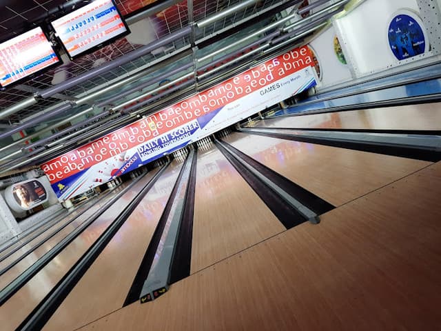 Cards Section