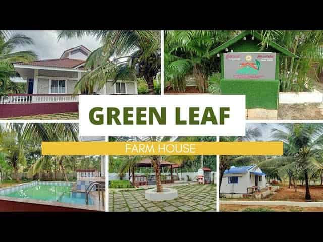 Lawn