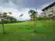 Party Venues