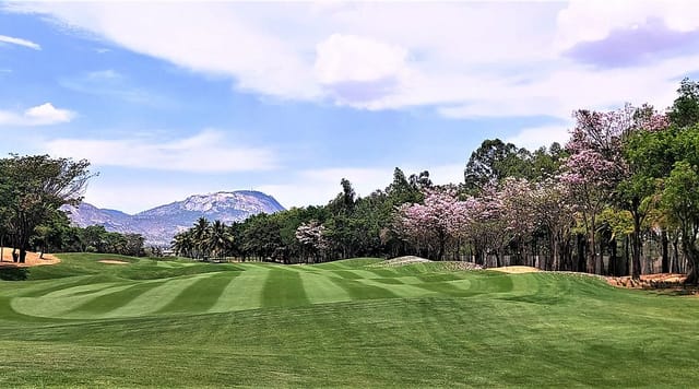 Bangalore Golf Club: manicured golf course for outdoor corporate events and team-building.