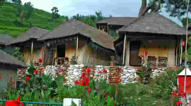 Cottages