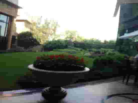 Terrace courtyard