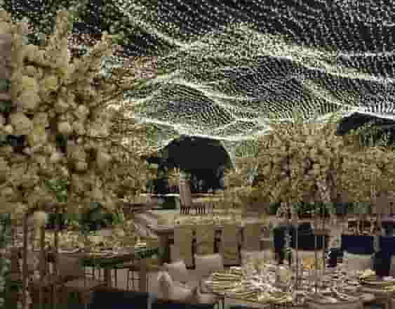 Outdoor Garden