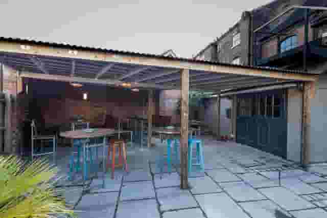 The Orange Tree