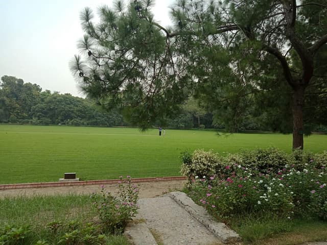 Lawn