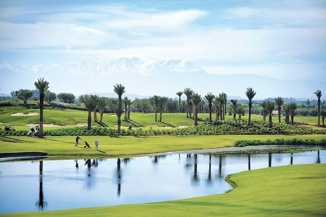 Royal Palm Golf & Country Club: serene golf course, palm trees, ideal for corporate retreats.