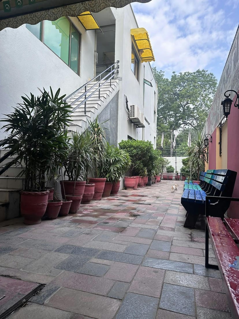 Tranquil outdoor event space with vibrant greenery and colorful seating area for networking.